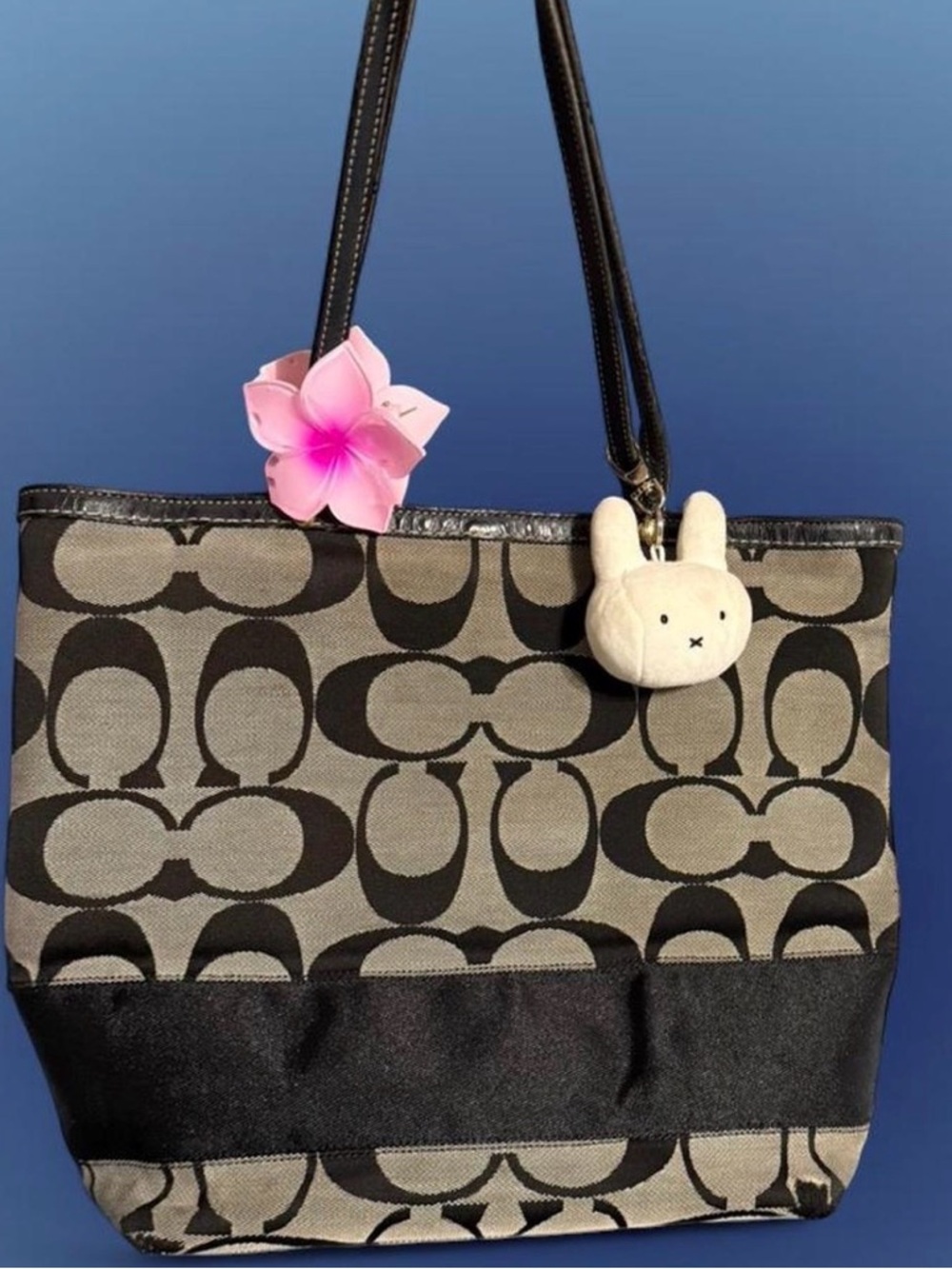 Coach Black and Tan Signature Tote with Leather Straps